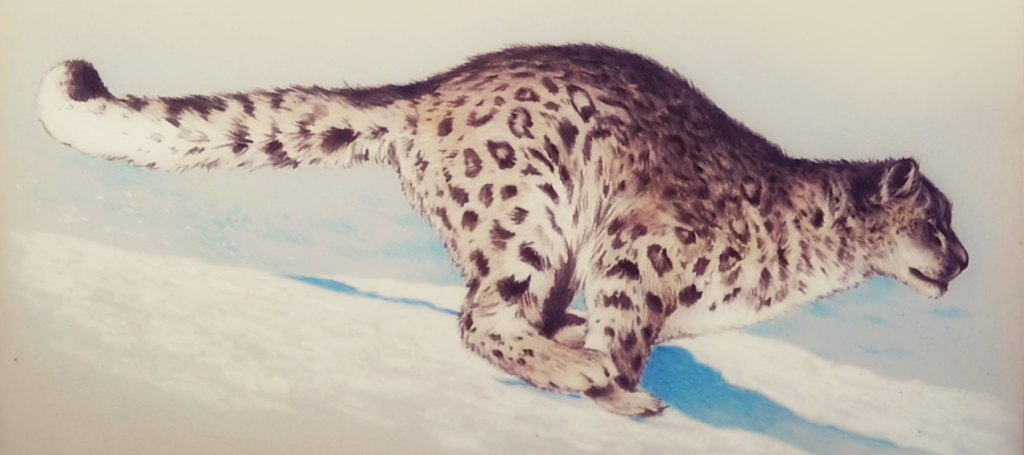 How To Draw Cats Masterclass