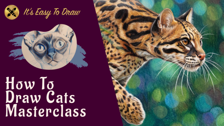 How To Draw Cats Masterclass