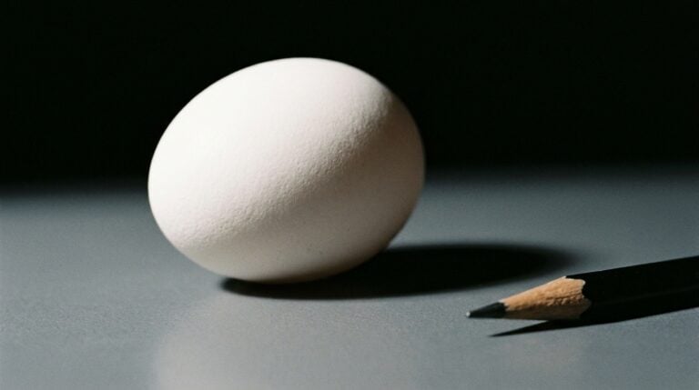 The Essential Rules of Drawing for Beginners (2026 Guide)