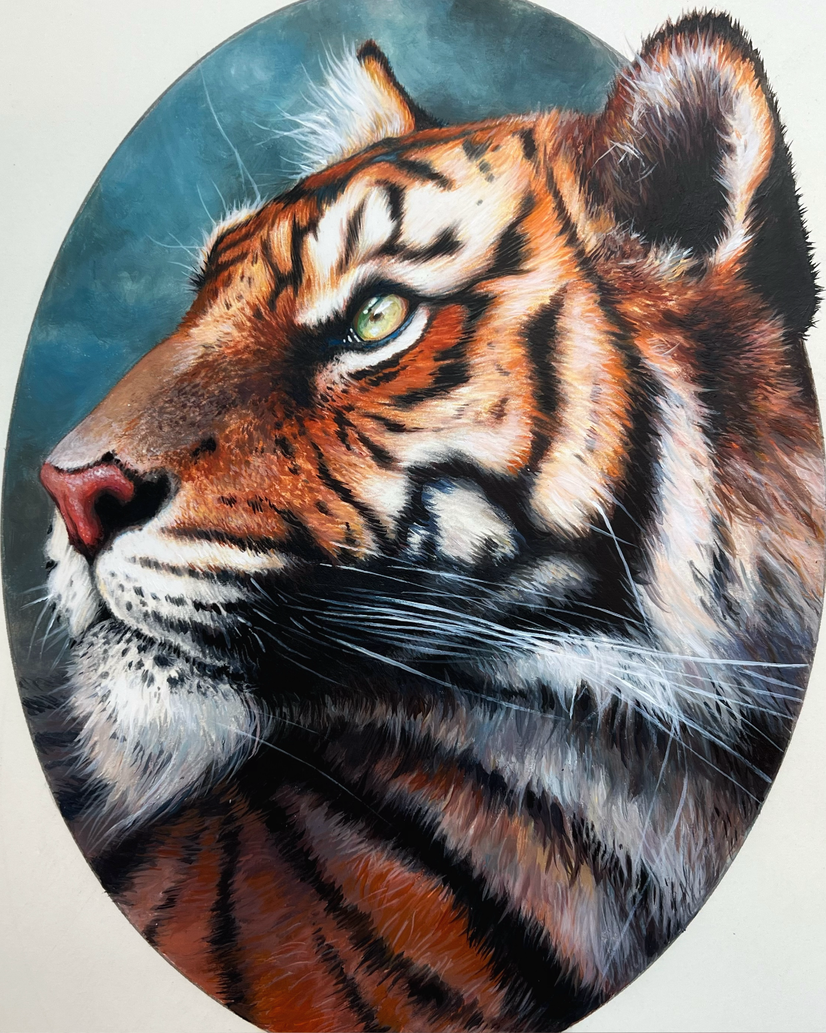 Tiger colored pencil drawing
