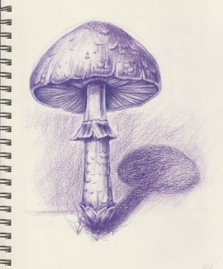 Mushroom Study