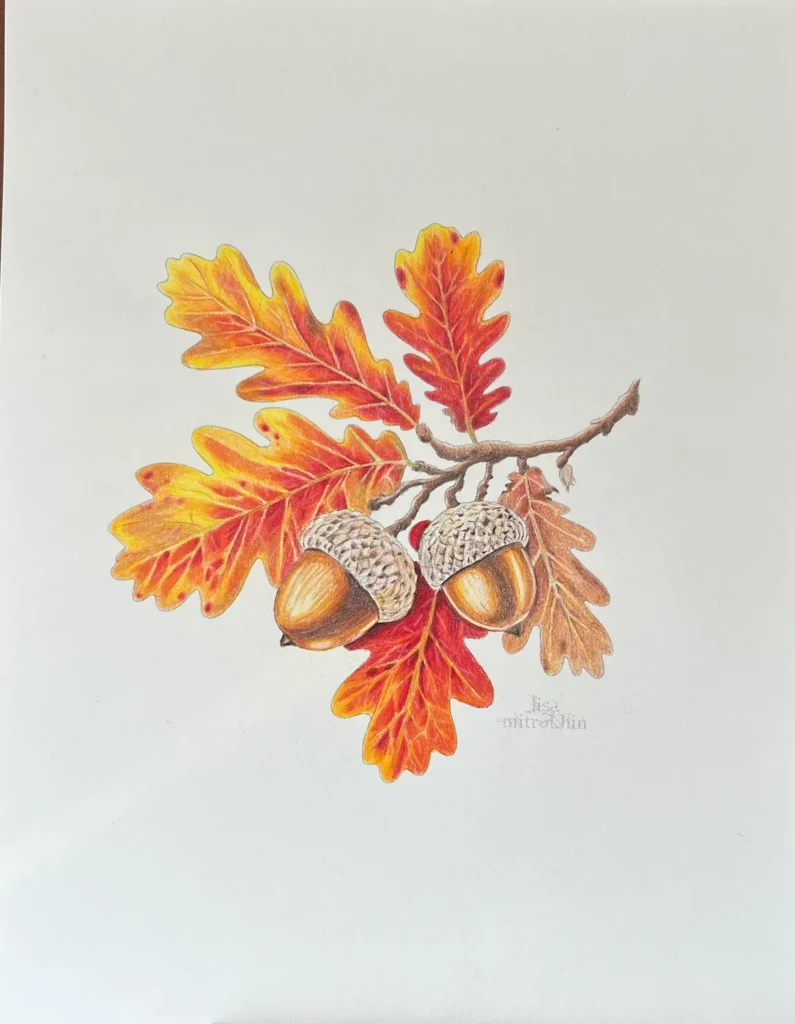 Autumn Acorns